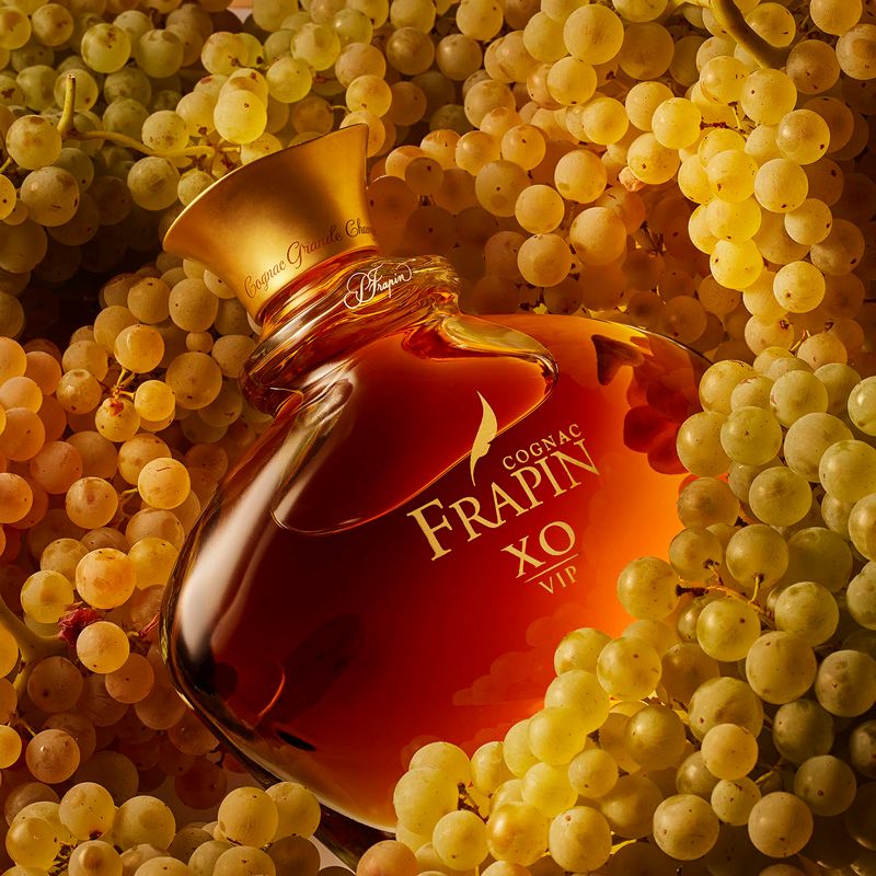 Frapin VIP XO 40° 70 cl + GBX